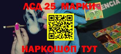 СК Краснодар