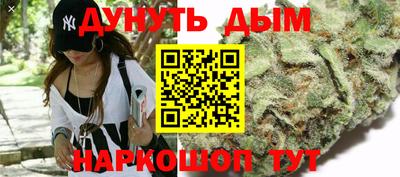 СК Краснодар
