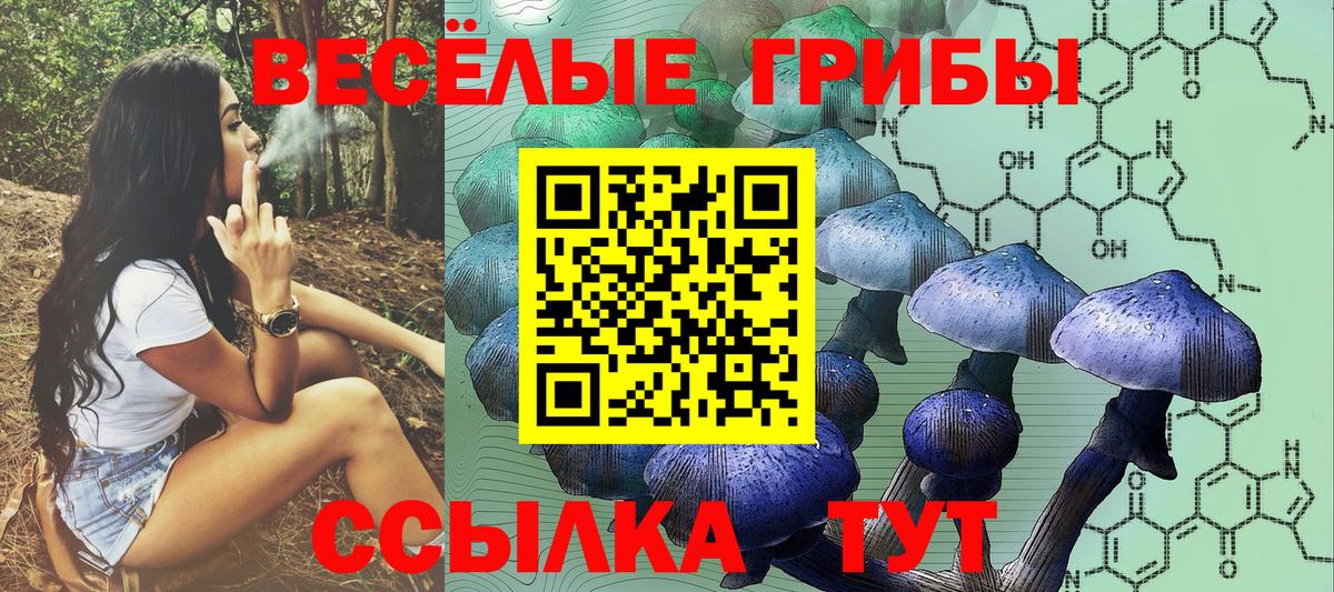 Галлюциногенные грибы Psilocybine cubensis  Галлюциногенные грибы Cubensis  Вход с VPN  Красноперекопск 