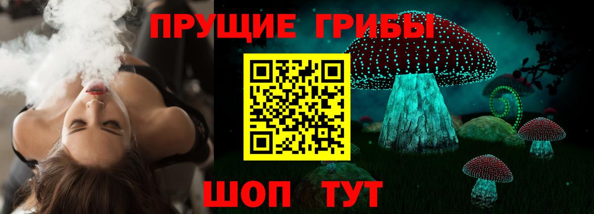 Галлюциногенные грибы Psilocybine cubensis Красноперекопск